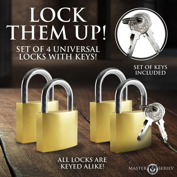 4 Pack Lock Set