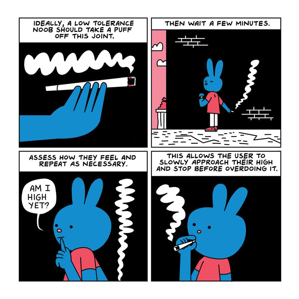 Are You Too High? Storybook *