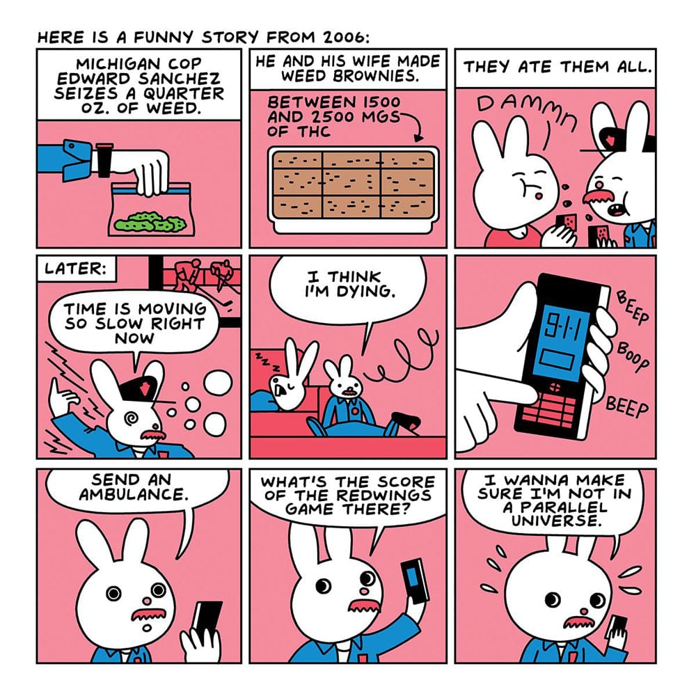 Are You Too High? Storybook *