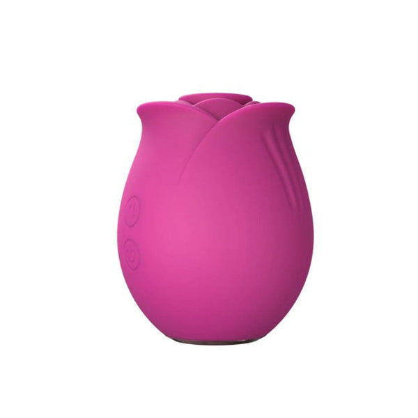 Blush Collection The Original Blush Rose
