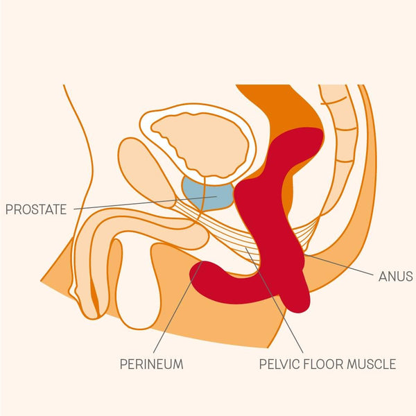 DUKE Vibrating Prostate Butt Plug