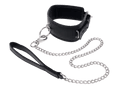 Edge Collar & Leash