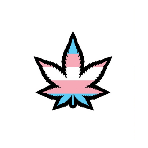 Enamel Pin: Trans Weed Leaf