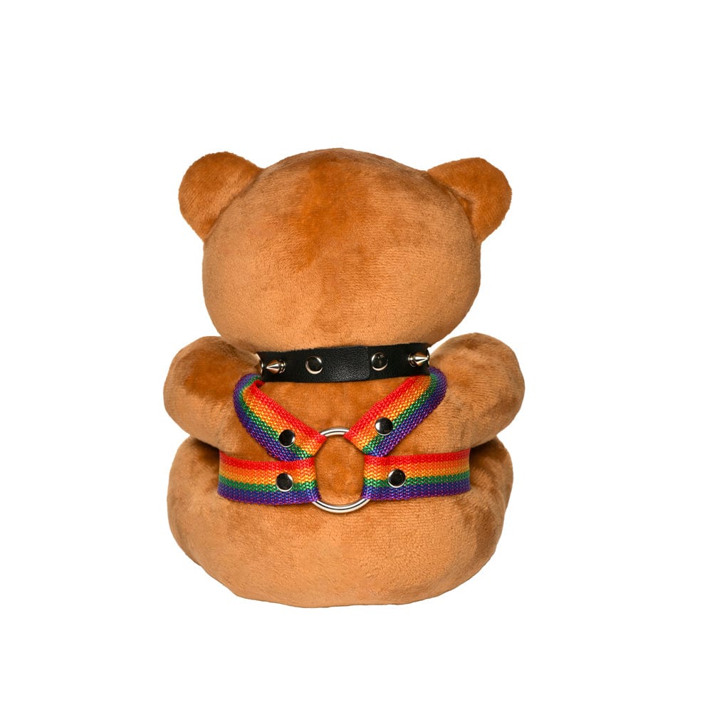 Pride Teddy Bear Plush