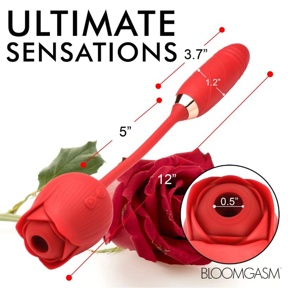 Romping Rose 10X Suction Rose & Thrustin