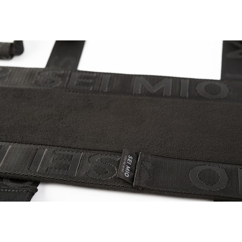 SEI MIO Behind Closed Doors Door Swing