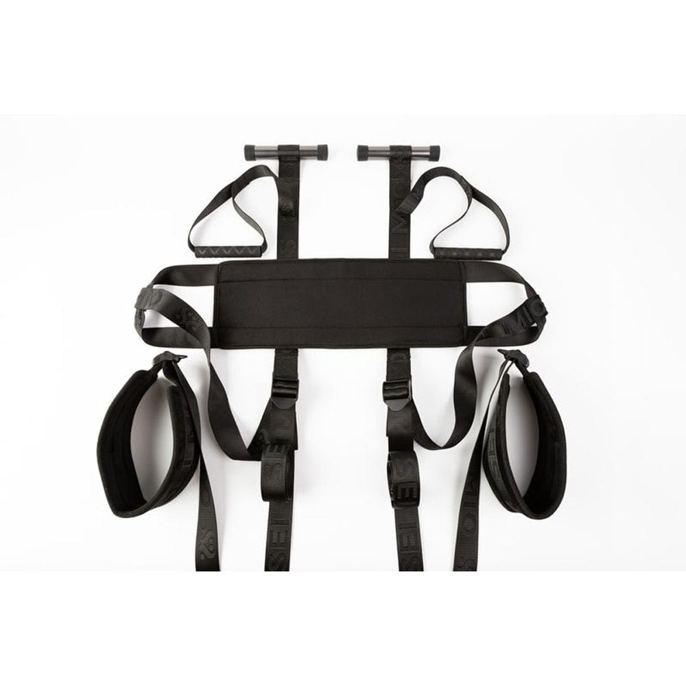 SEI MIO Behind Closed Doors Door Swing