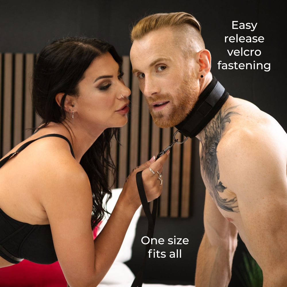 SEI MIO Take the Lead Padded Collar/Leas