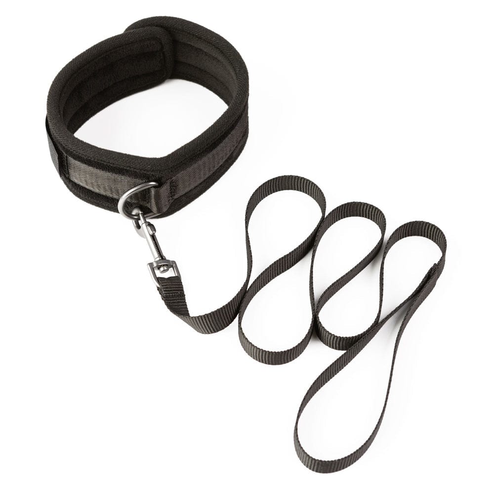 SEI MIO Take the Lead Padded Collar/Leas