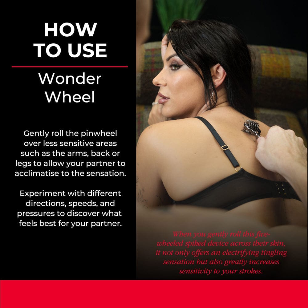 SEI MIO Wonder Wheel 5 Row Sensory Wheel