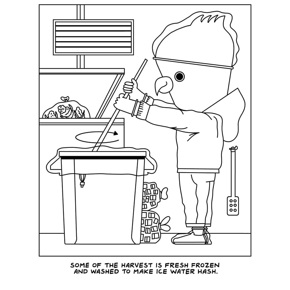 Visit to the Canabis Farm Colouring Book