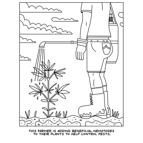 Visit to the Canabis Farm Colouring Book