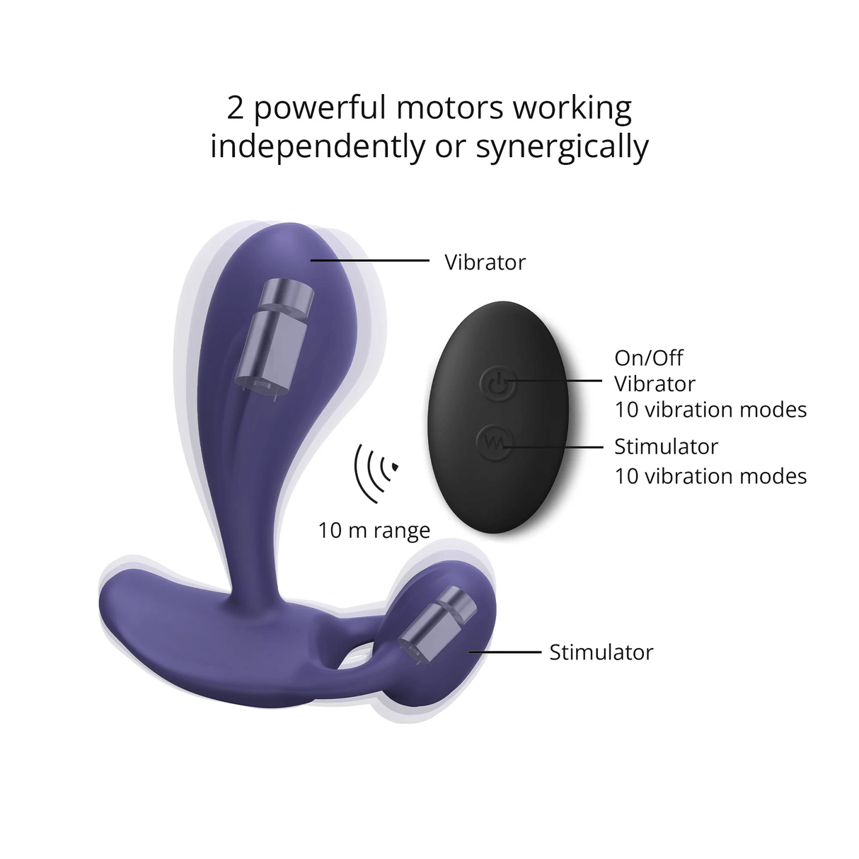 Witty Midnight Indigo - P-Spot & G-Spot Stimulator