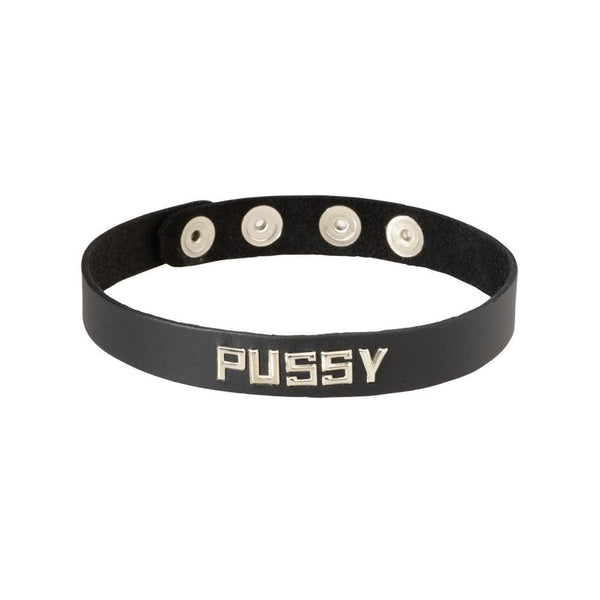 Word PUSSY Collar by Spartacus