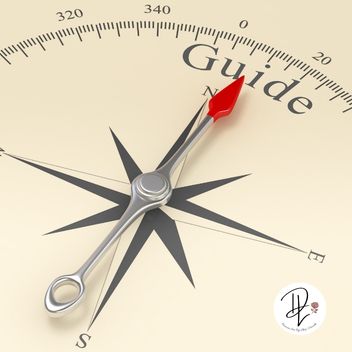 Beginner Safety Guide for Large & Thick Dildo Toys