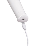 Le Wand Classique Petite Wand Massager