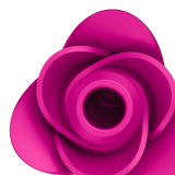 Pro 2 Modern Blossom