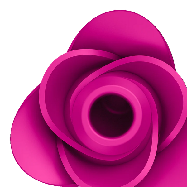 Pro 2 Modern Blossom