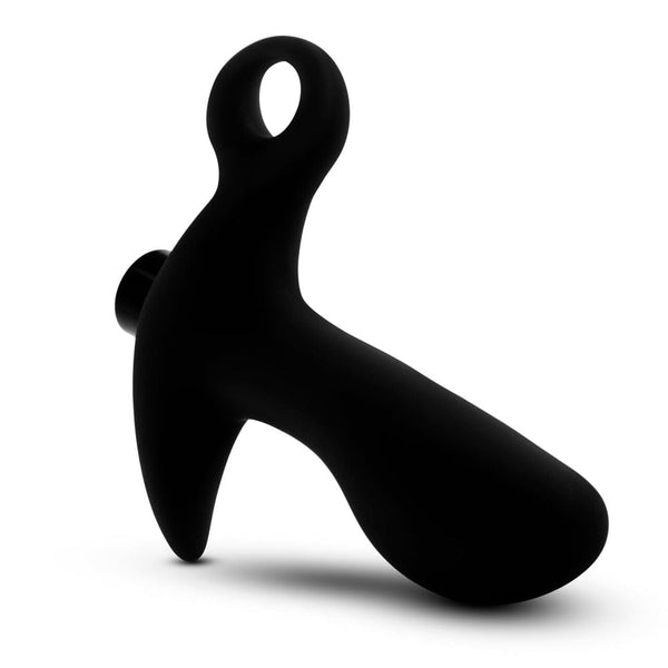 Anal Adventures - G-Spot & Prostate Vibrator