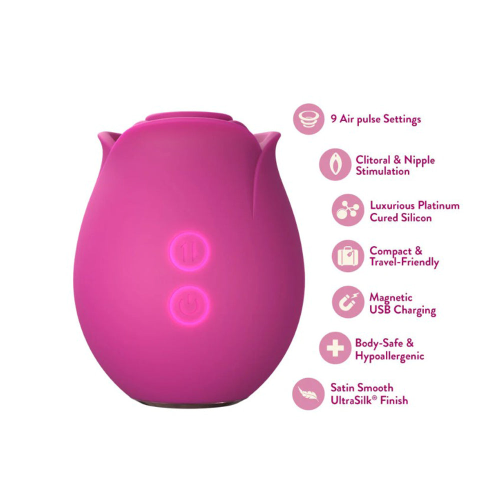 Blush Collection The Original Blush Rose