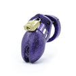 CB-6000S Cock Cage Chastity Kit - Purple Glitter