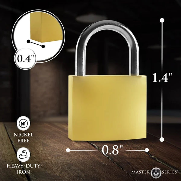 4 Pack Lock Set