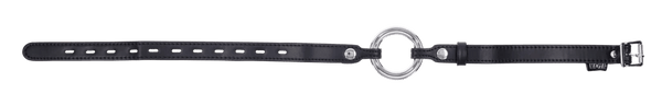 Edge Interchangeable Ring Gag