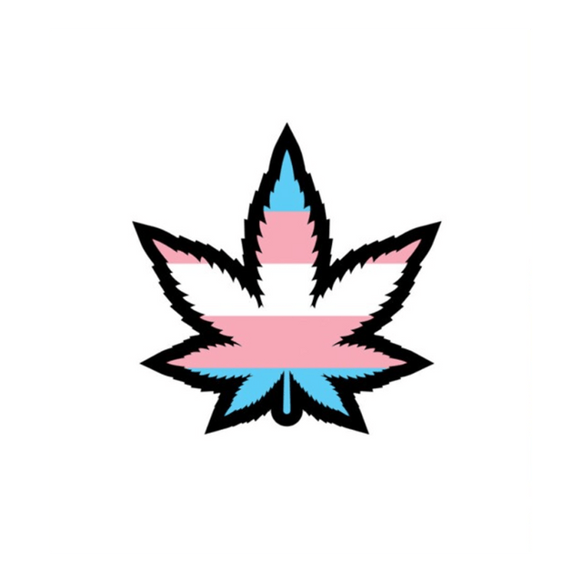 Enamel Pin: Trans Weed Leaf