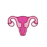 Enamel Pin: Uterus - Sparkly Pink