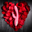 Evolved Bunny Kisses Dual-Motor Rabbit Vibrator