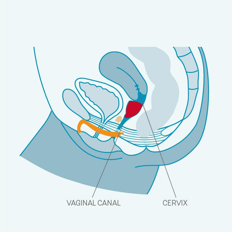 FUN CUP Menstrual Cup