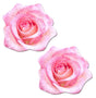 Glitter Velvet Blooming Rose - Pink