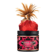 Honey Dust Body Powder Strawberry Dreams (6oz)