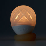Iroha Ukidama TAKE Bath Light & Massager