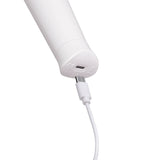 Le Wand Classique Petite Wand Massager