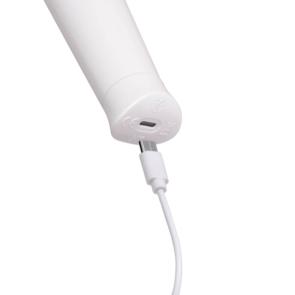 Le Wand Classique Petite Wand Massager