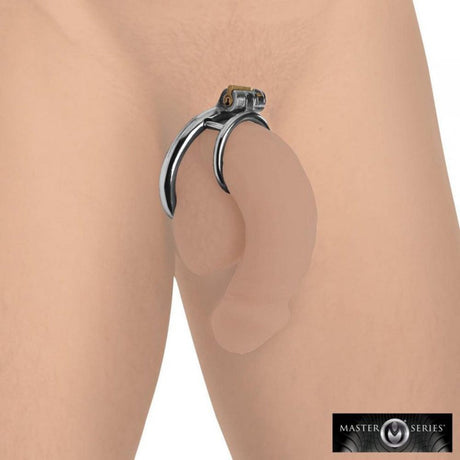 Locked Cock Locking Cock & Ball Ring *