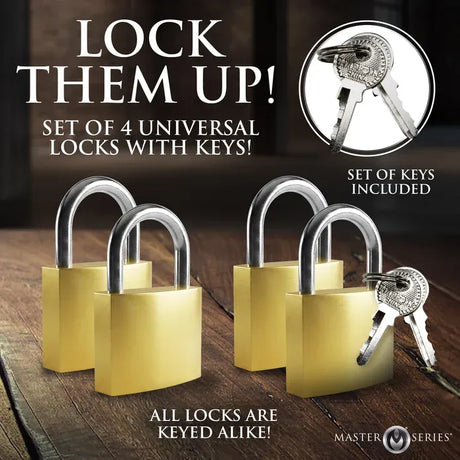 Master Series 4 Pack Bondage Lock Set