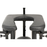 Premium Pleasure Throne Oral Sex Chair