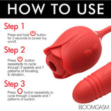 Romping Rose 10X Suction Rose & Thrustin