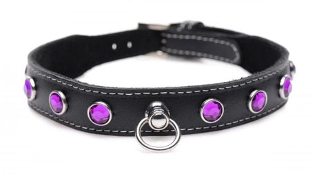Royal Vixen Leather Choker Rhinestones