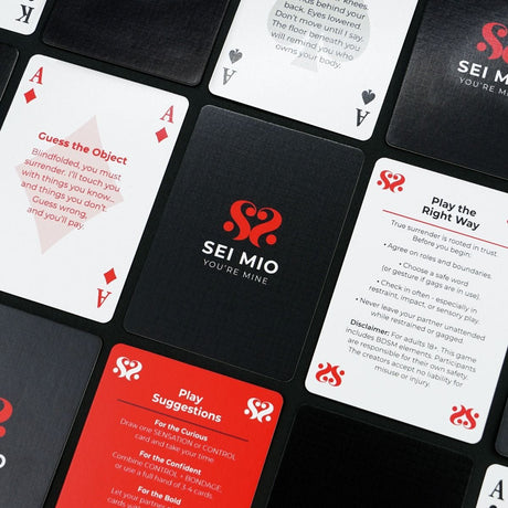 SEI MIO Pleasure & Control BDSM Card Game