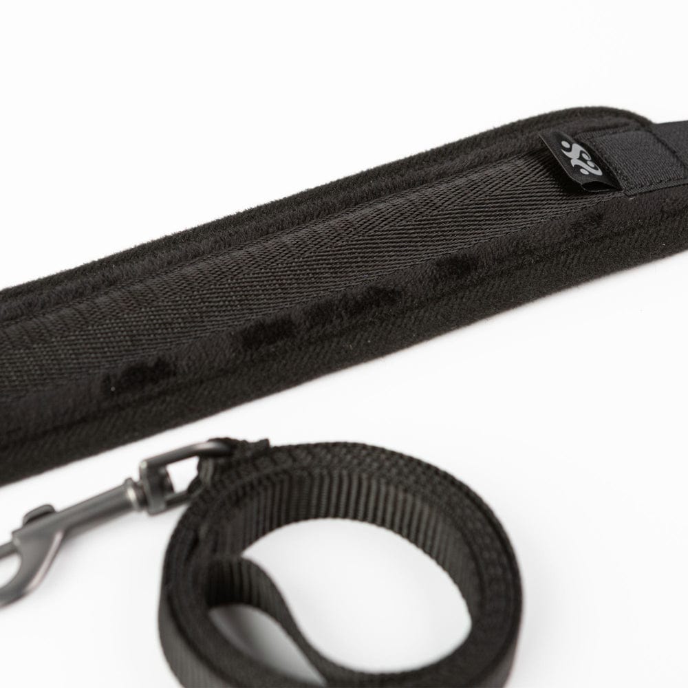 SEI MIO Take the Lead Padded Collar/Leas
