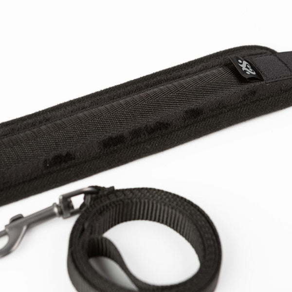 SEI MIO Take the Lead Padded Collar/Leas