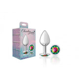 Silver Metal Anal Plug - Round-Rainbow - Medium