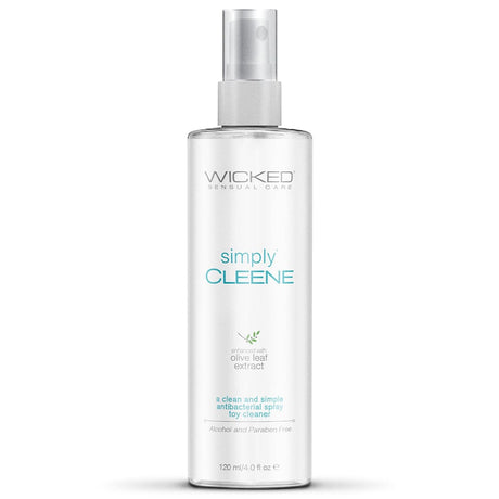 Simply Cleene Antibacterial Toy Spray 4oz
