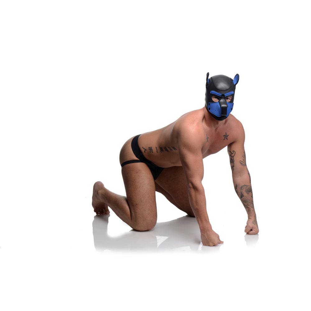 Spike Neoprene Puppy Hood - Blue