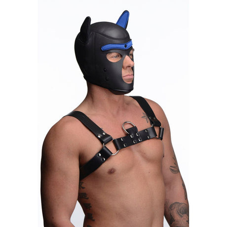 Spike Neoprene Puppy Hood - Blue