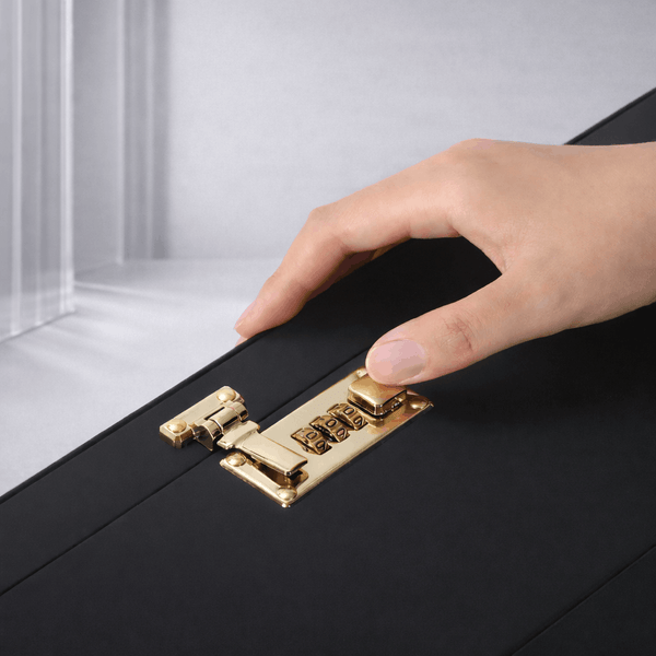 Strap-On-Me Le Coffret Lockable Toy Storage Case