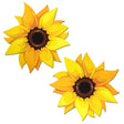 Sunflower Pasties